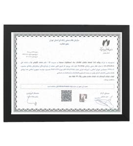 مجوز نظام صنفی رایانه ای